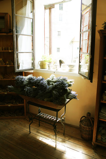Lavender Window