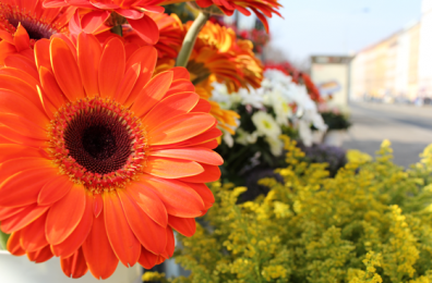 Flower Stands